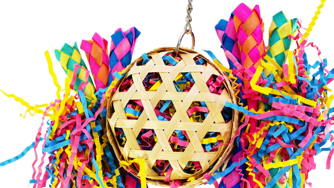 Is The 1721 Round Basket Good for Small Birds?