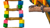 huge bar 10 ladder for birds with colorful wooden blocks and a parrot nearby.