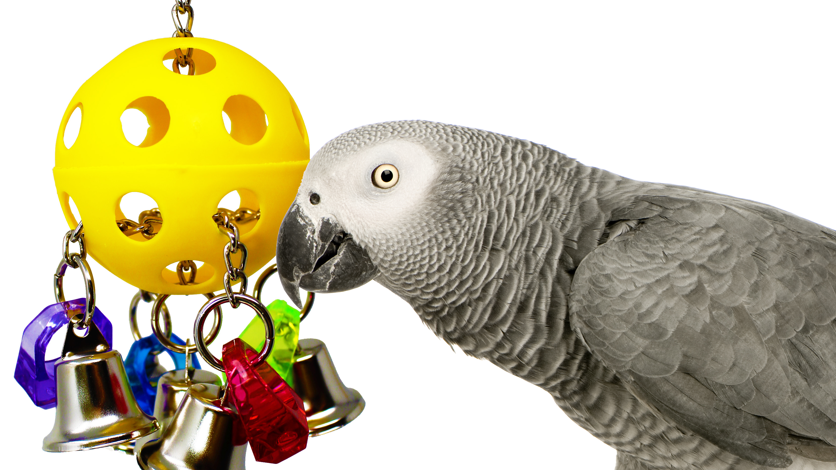 What is the 1937 Bell Pull?