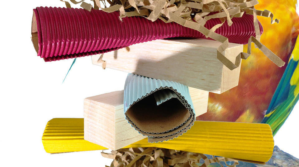 What is a good balsa foraging toy for my pet bird?