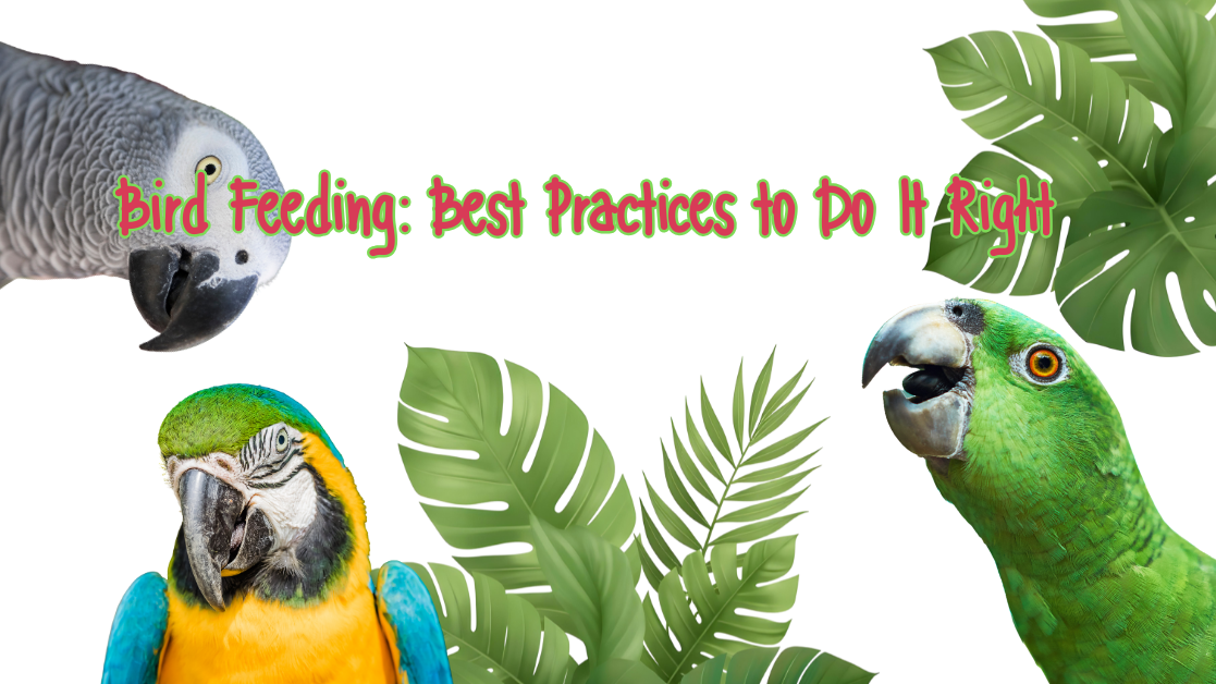 The Rising Trend of Backyard Bird Feeding featuring colorful parrots and tropical leaves.