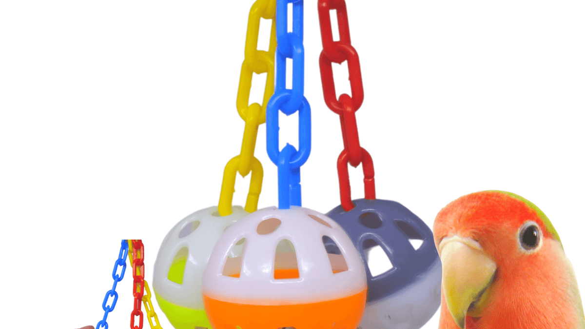 What is the best bird toy for a pet Parakeet from bonka?