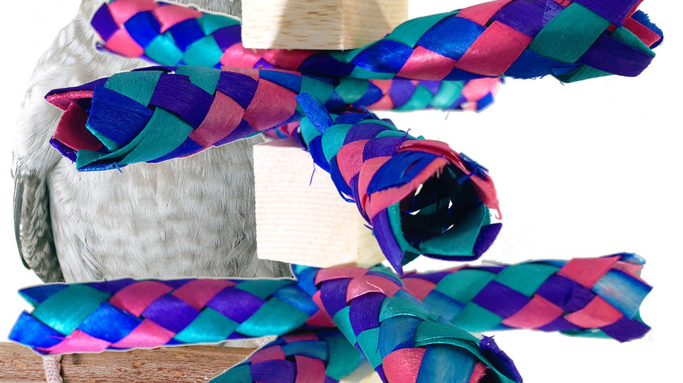 What is a great balsa foraging toy for my small pet bird?