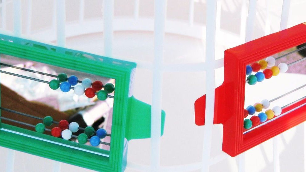 What is the 36407 Clip Mirror?