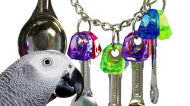 What is a good stainless steel spoon bird toy?