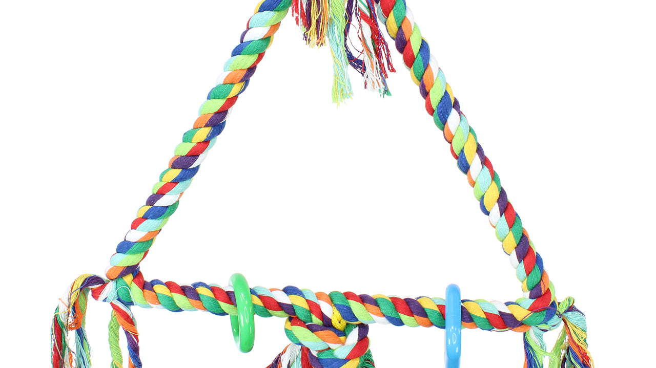 Do Birds Like Triangle Rope Swing Toys?