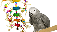 What is a good medium Preening bird toy?