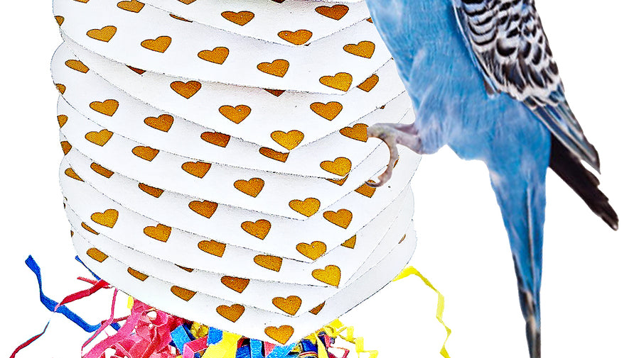 What is the 2124 Heart Card from Bonka Bird Toys?