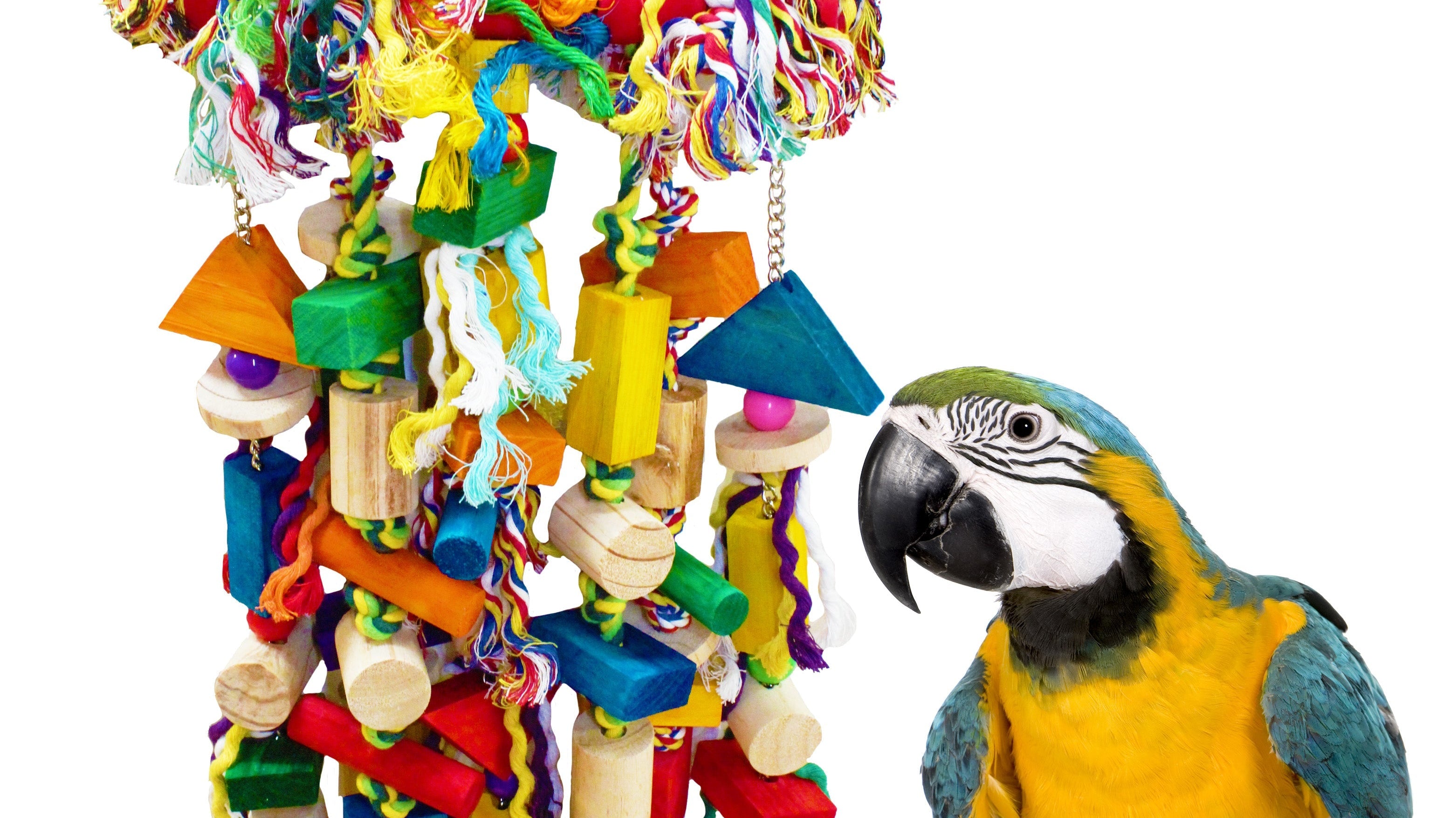Bird Supplies Large Toys: Amazon, Cockatoo and Macaw Toys with colorful parrot toy and macaw