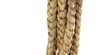 What is the 1946 Huge Coco Platt?