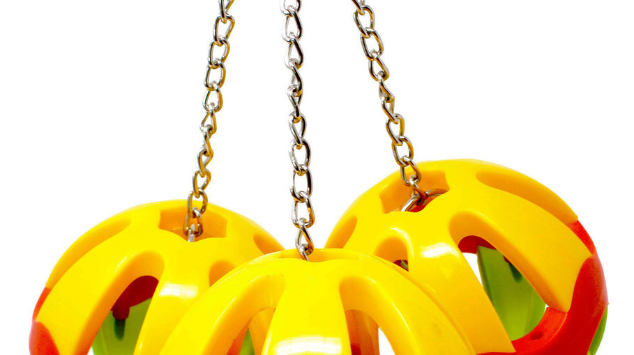 What are Some Good Plastic Ball Bird Toys?