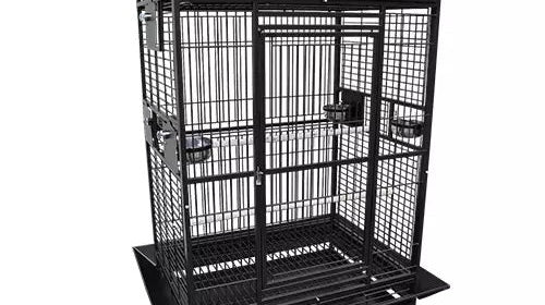 Is The Kings Cages 8004030 a Good Choice For My Cockatoo?