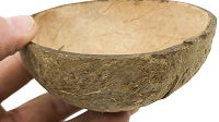 What Is a Good Coconut Bowl for Birds?