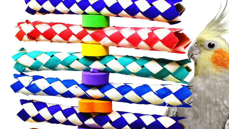 How Do You Entertain a Cockatiel?