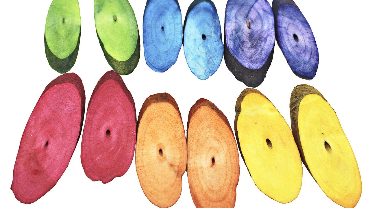 What are Some Rainbow Toys from Bonka Bird Toys?