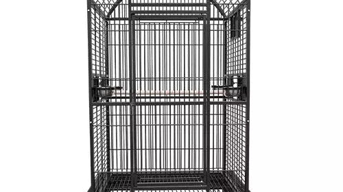 Eclectus Parrot Be Happy in the Kings Cages 9003628 Cage?