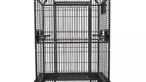 Is 9004030 Dome Top Cage a Good Fit for an Amazon Parrot?