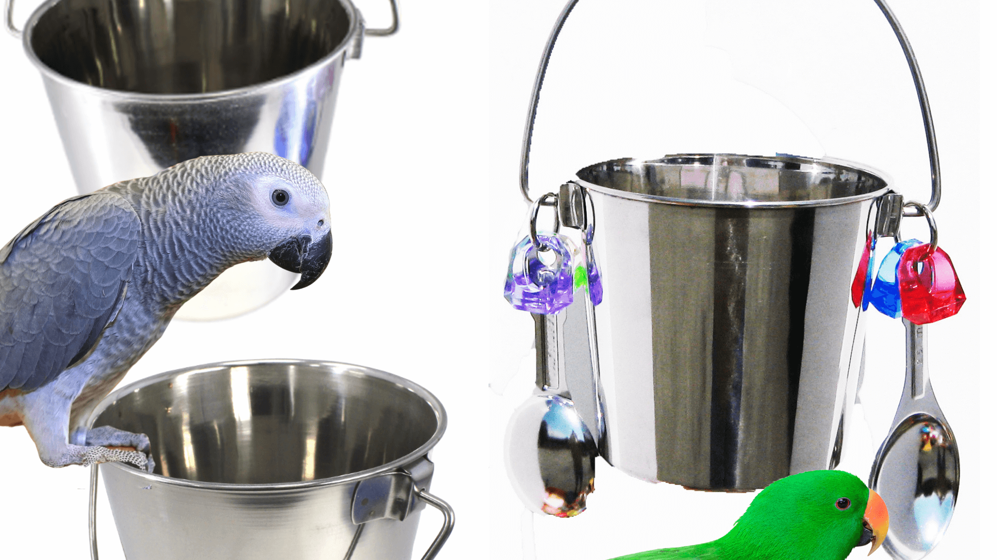 Best foraging toys for parrots from bonka bird toys