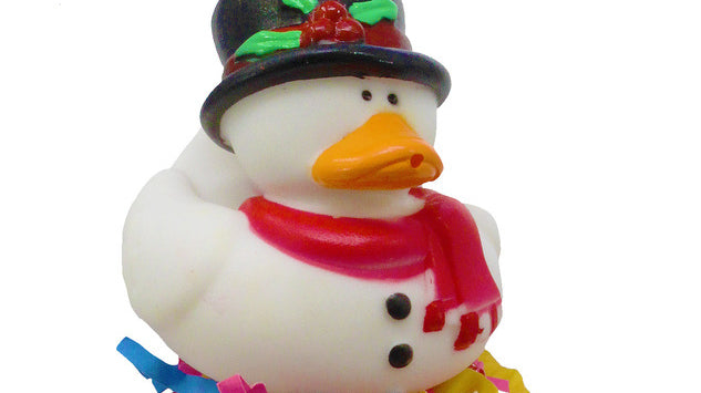 Merry Christmas from Bonka Bird Toys!