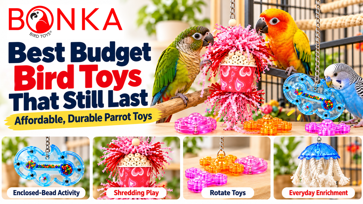 Best Budget Bird Toys That Still Last: Affordable, Durable Parrot Toys