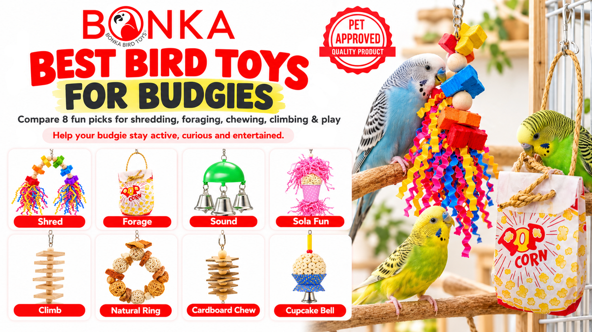 Best Bird Toys for Budgies