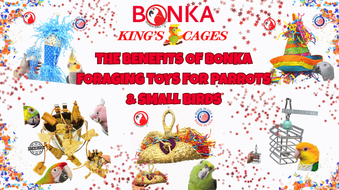 The Benefits of Bonka Foraging Toys for Parrots & Small Birds showcased with colorful toys and playful birds.