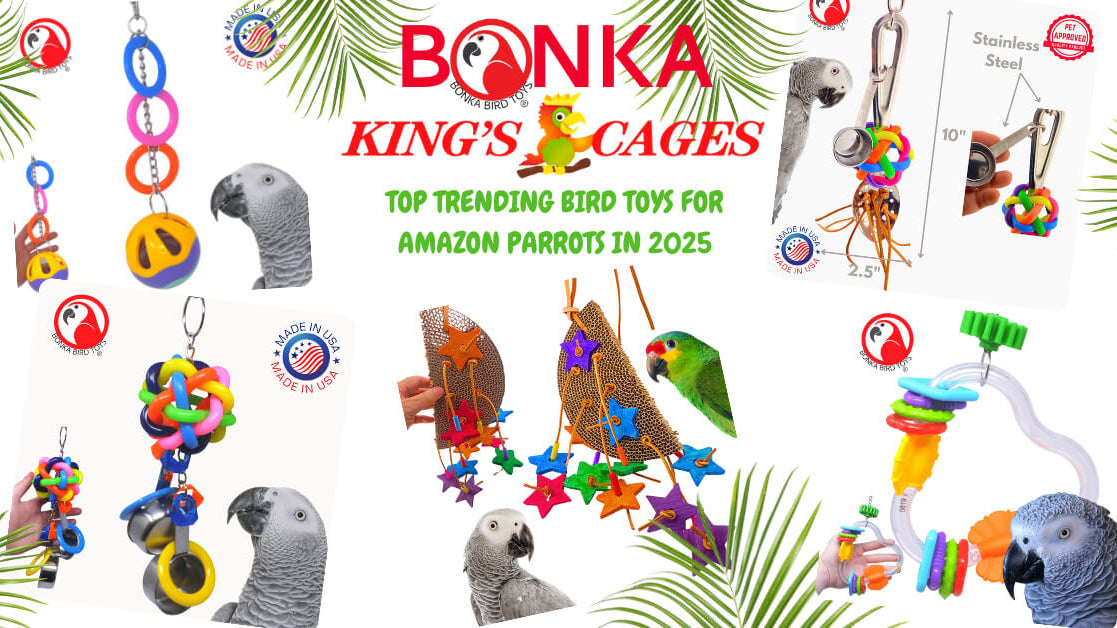 Top Trending Bird Toys for Amazon Parrots in 2025
