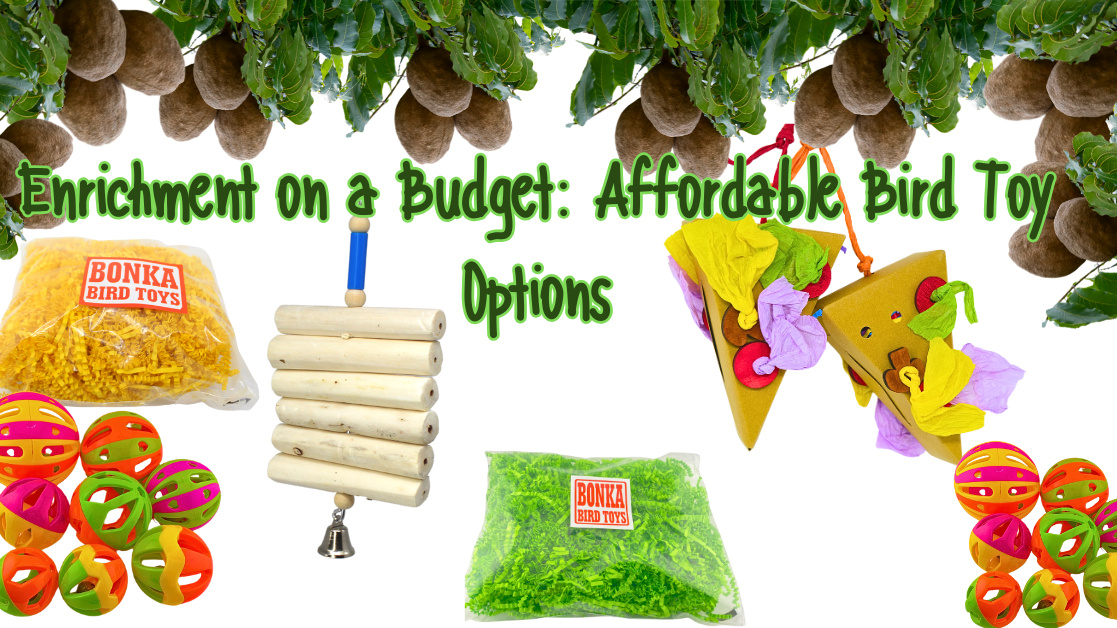 Enrichment on a Budget: Affordable Bird Toy Options with colorful toys for birds.