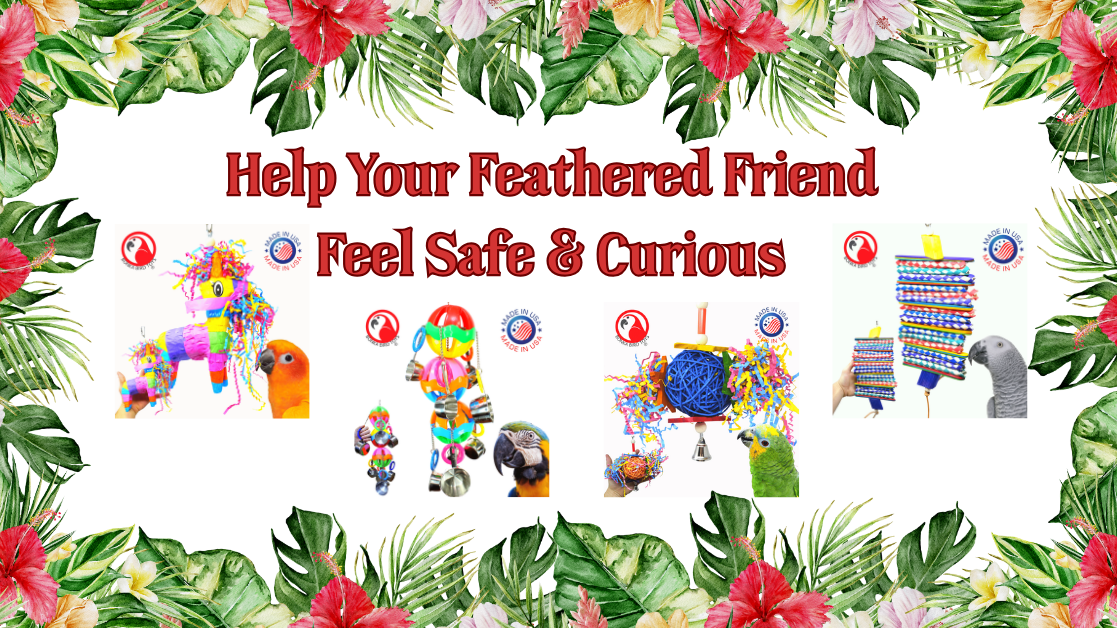 How to Introduce New Toys to a Shy or Nervous Bird with colorful toys around a friendly bird.
