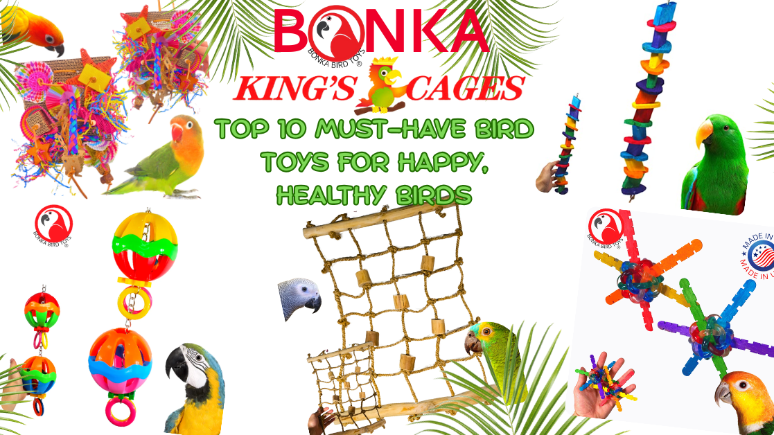 Colorful collection of must-have bird toys for happy, healthy birds from Bonka King's Cages.