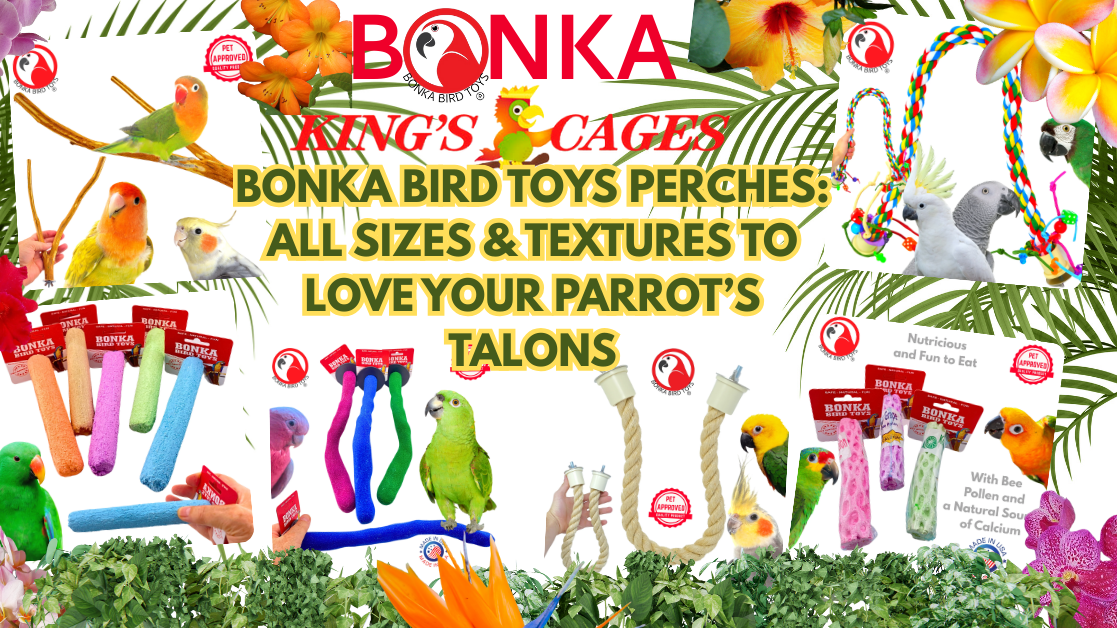 Colorful display of parrot perches for healthy talons, showcasing various sizes and textures for bird care.