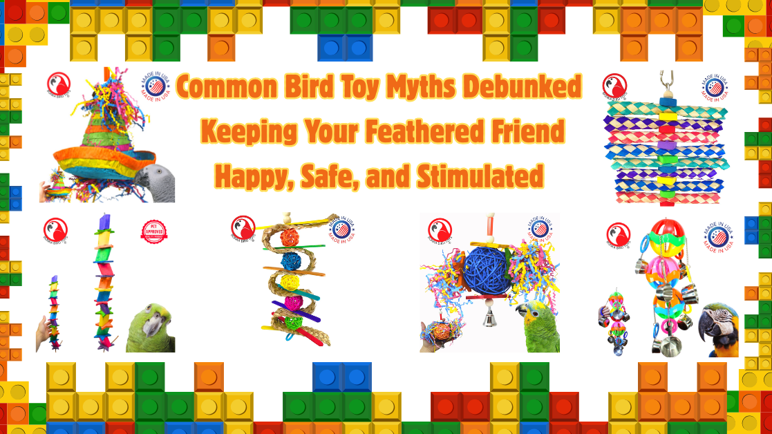 Common Bird Toy Myths Debunked with colorful toys for bird health and enrichment