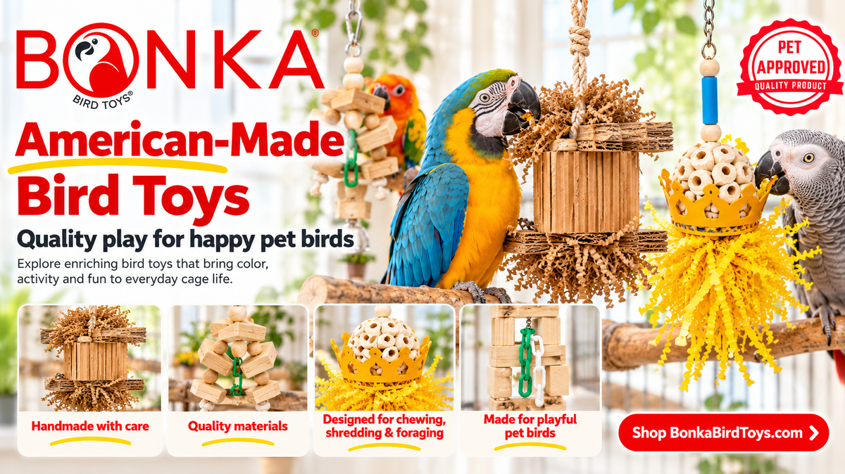 American-Made Bird Toys: Quality, Safety & Better Play