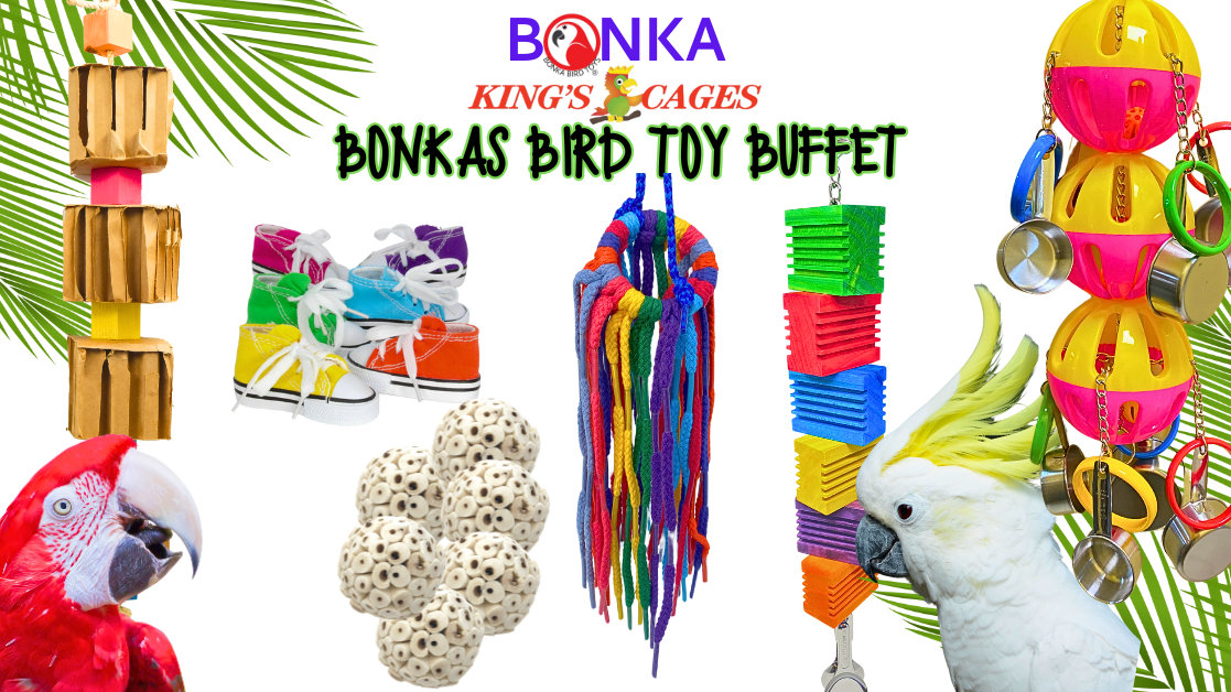 The Trendy Bird Buffet & How BONKA Toys Make It Even Better featuring colorful bird toys and a parrot.