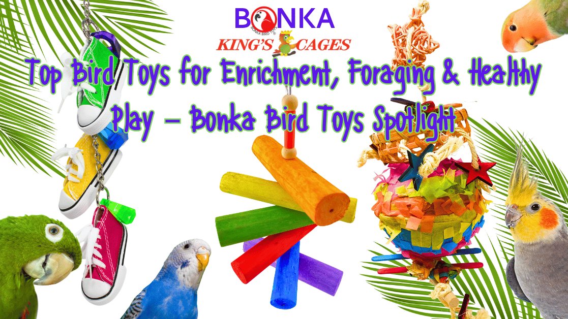 Best Bird Toys for Enrichment & Foraging featured with colorful bird toys and vibrant parrots.