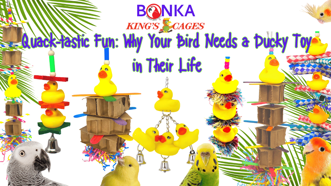 Duck toys for birds provide fun enrichment for parrots