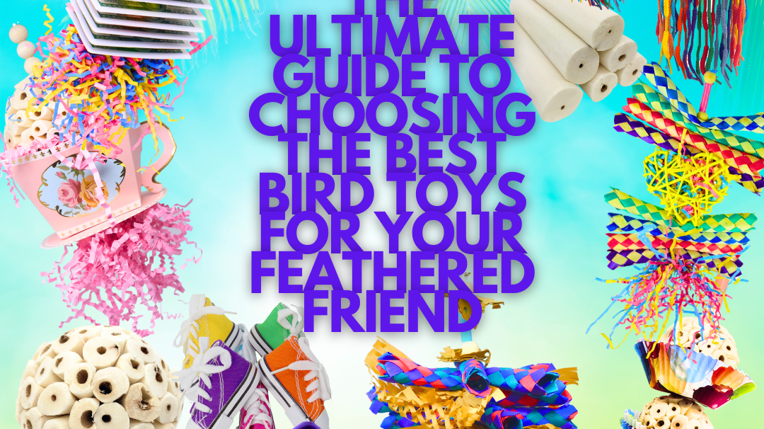 The Ultimate Guide to Choosing the Best Bird Toys for Your Feathered Friend