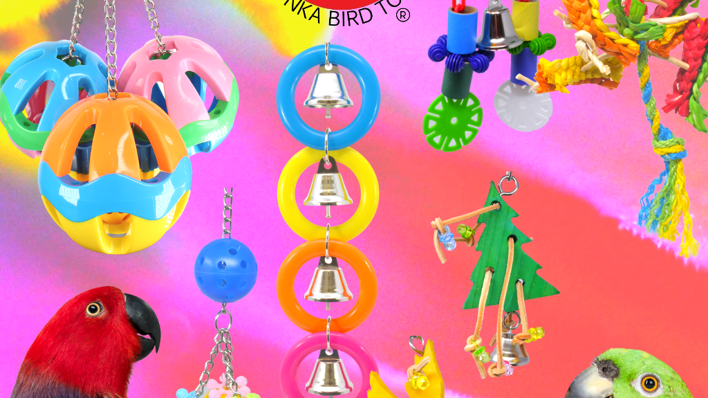 Why You Should Purchase Your Bird's Toys From Bonka Bird Toys.