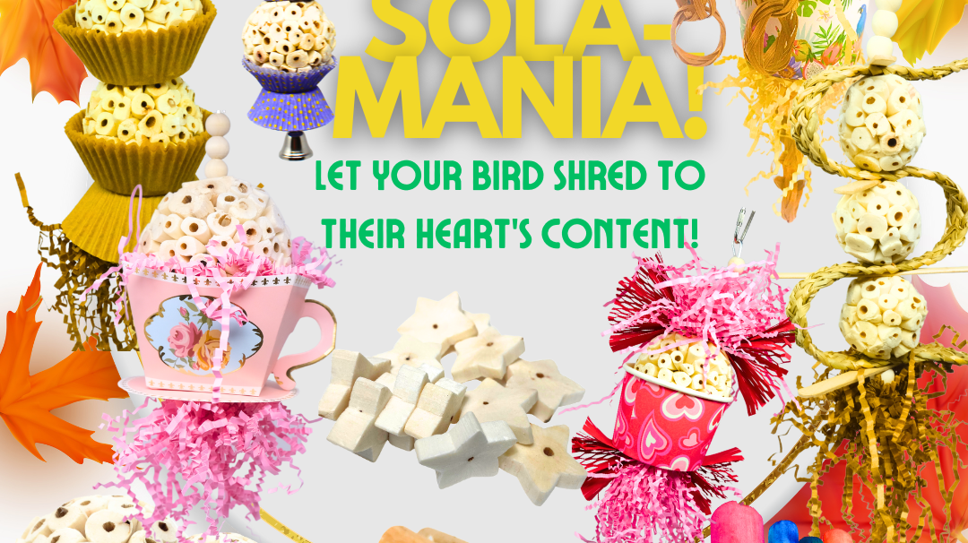 Sola-Mania: The Ultimate Shreddable Fun for Your Bird!