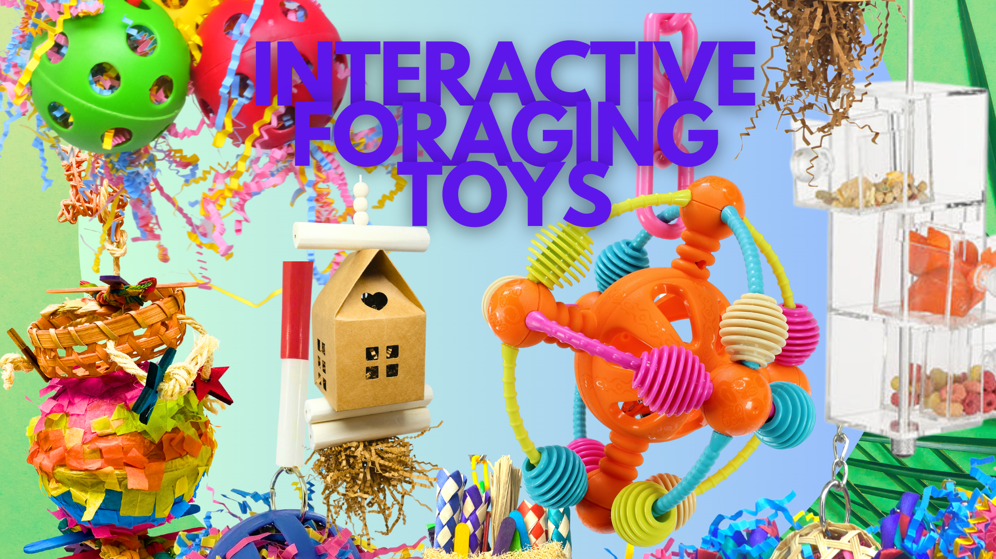 Unlock the Fun: Foraging Bird Toys at Bonka Bird Toys