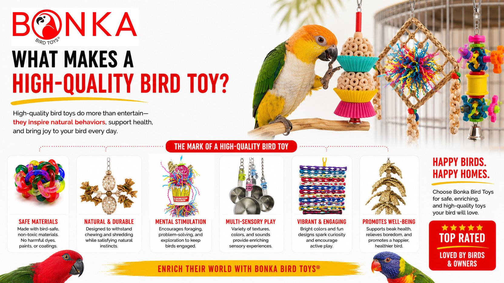 What Makes a High‑Quality Bird Toy infographic showcasing safe materials, mental stimulation, and vibrant designs for birds.