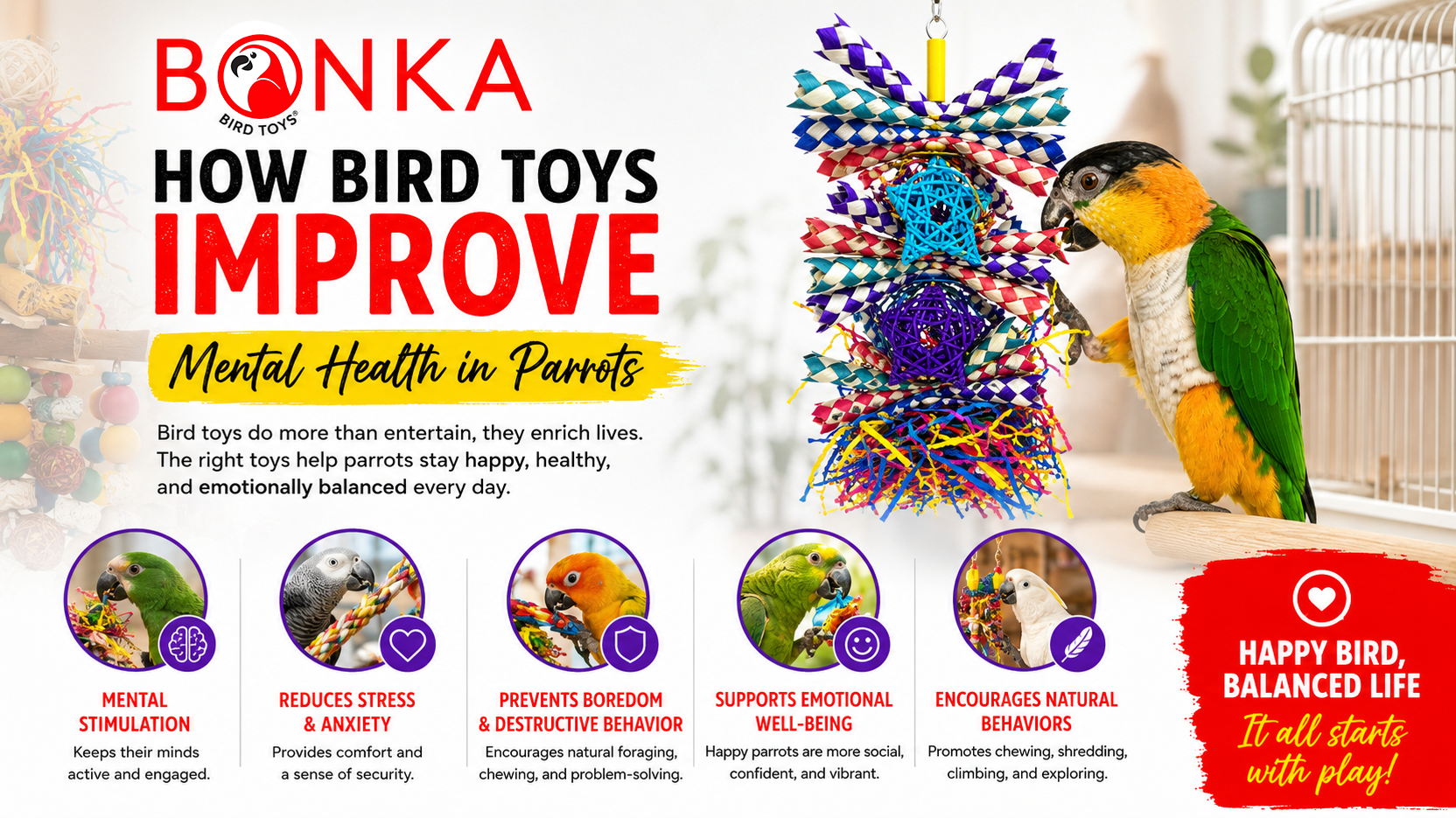 How Bird Toys Improve Mental Health in Parrots with colorful toys and a parrot engaged with play.