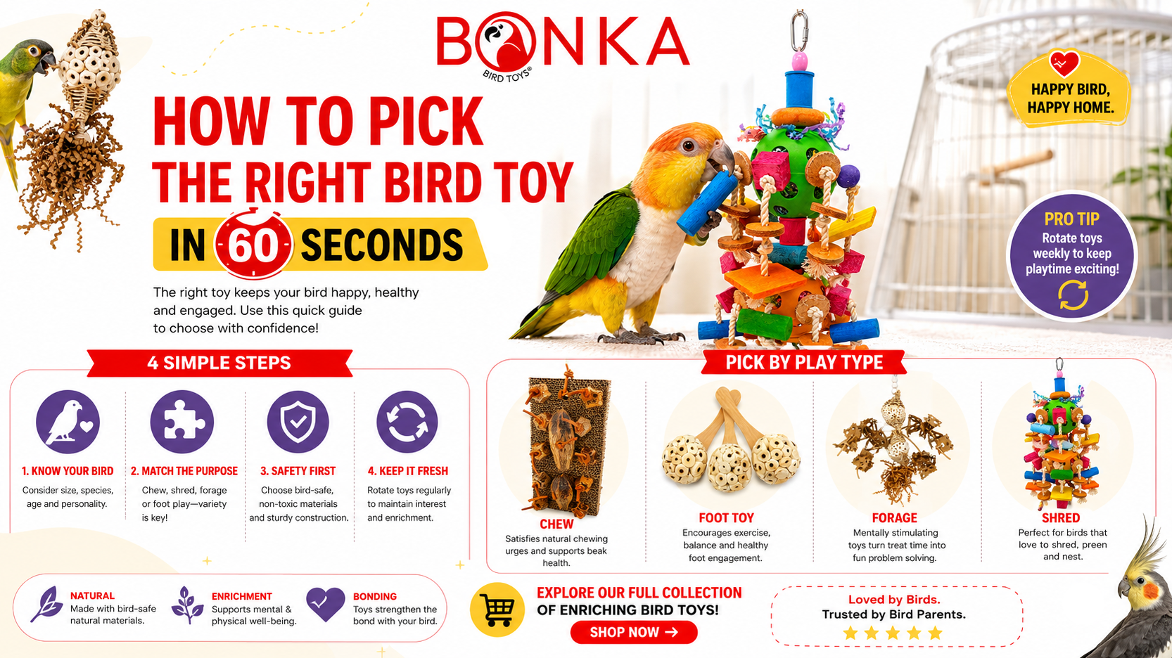 image guide on how to pick bird toys quickly with colorful toys and birds featured.