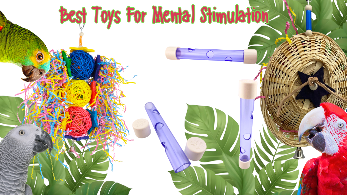 Best Bird Toys for Mental Stimulation and Enrichment with colorful toys and parrots surrounded by greenery.