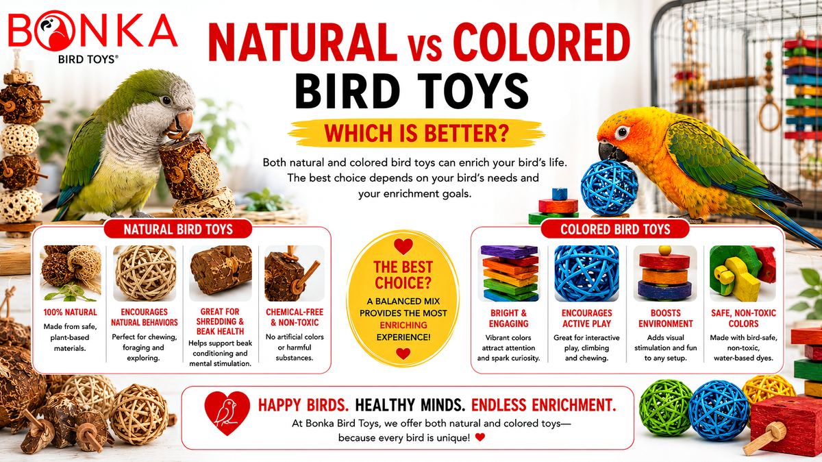 Natural vs Colored Bird Toys: Which Is Better?