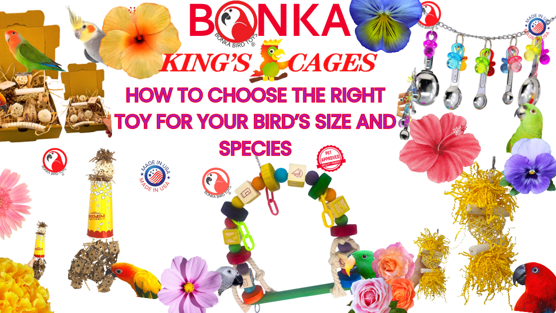 Bird toy selection by size and species featuring colorful toys and accessories for your pet birds.
