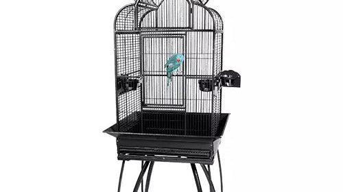 Kings Cages SLT4 2217 The Right Cage For My Cockatiel?