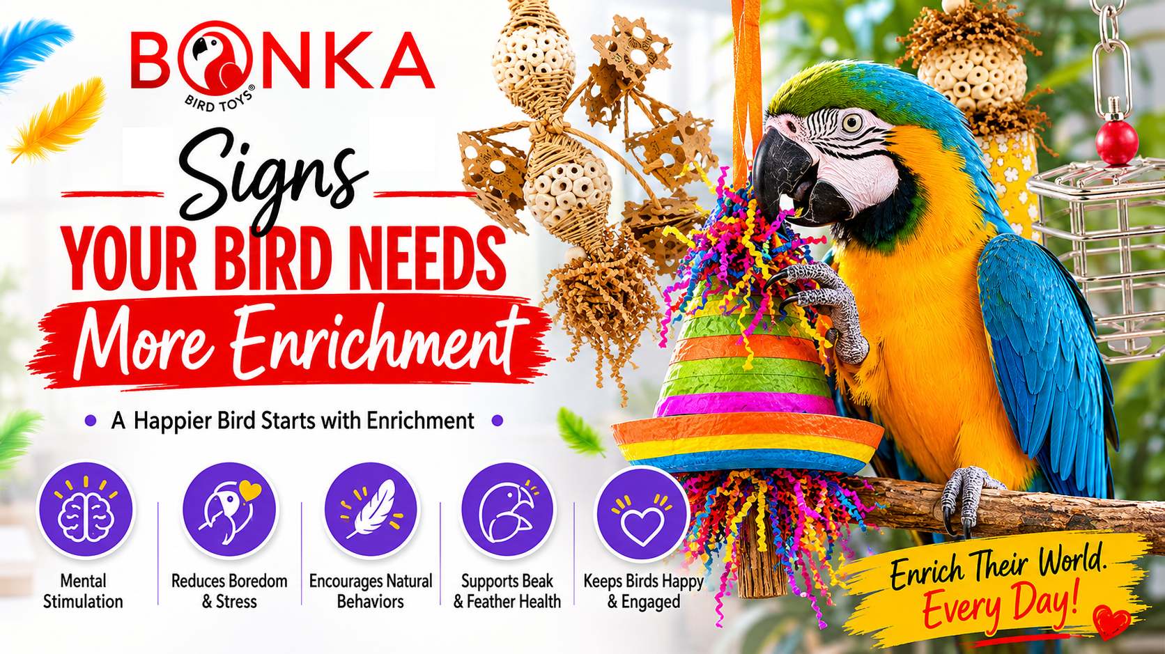 Signs Your Bird Needs More Enrichment