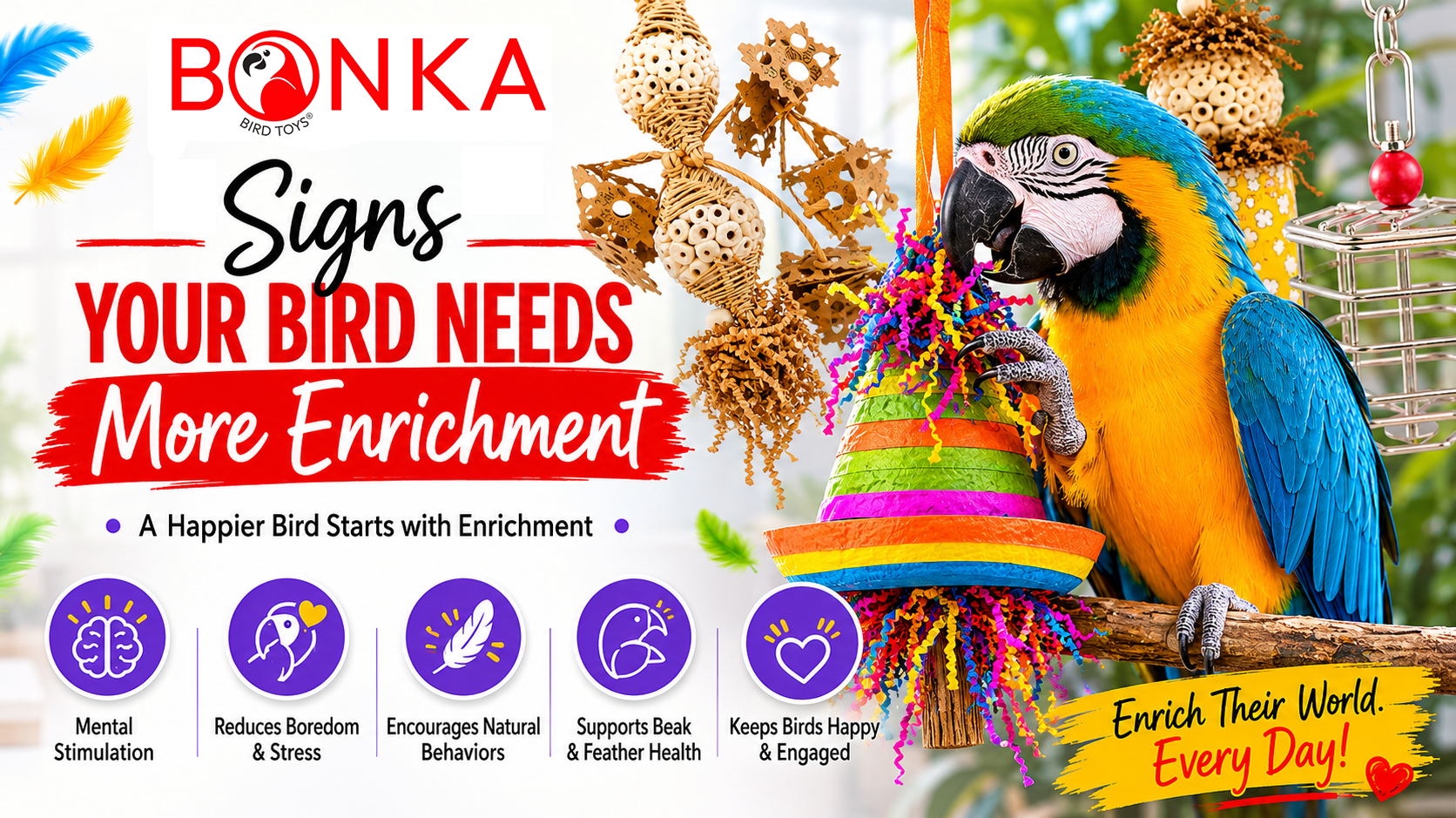 Signs Your Bird Needs More Enrichment with colorful toys and a parrot