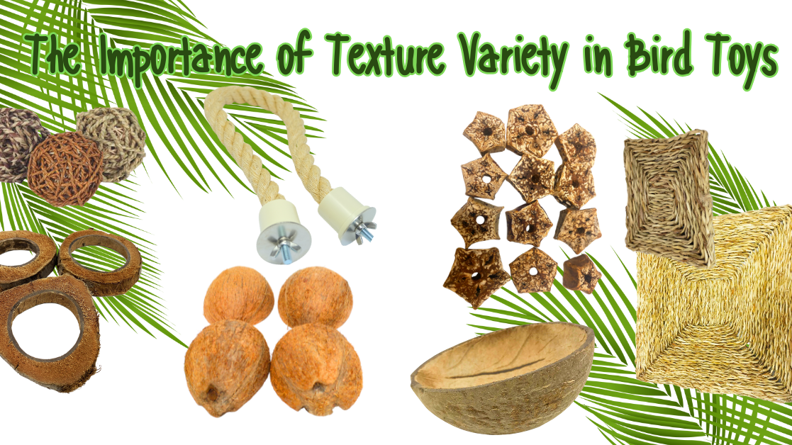 The Importance of Texture Variety in Bird Toys showcasing diverse textures including ropes, natural fibers, and toys for mental stimulation.
